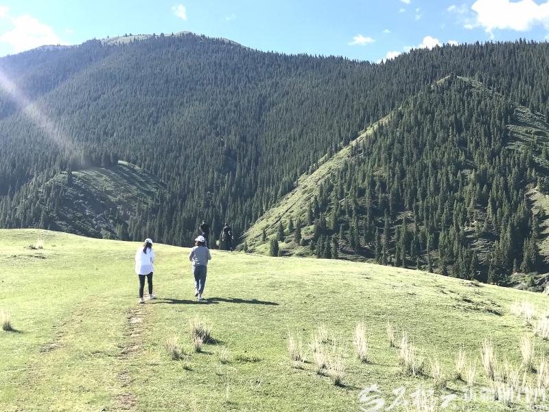 W020250911691531664687_800